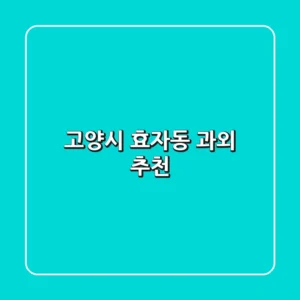 고양시 효자동 과외 추천
