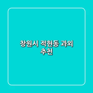 창원시 적현동 과외 추천