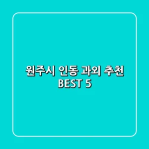 원주시 인동 과외 추천 BEST 5