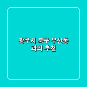 광주시 북구 우산동 과외 추천