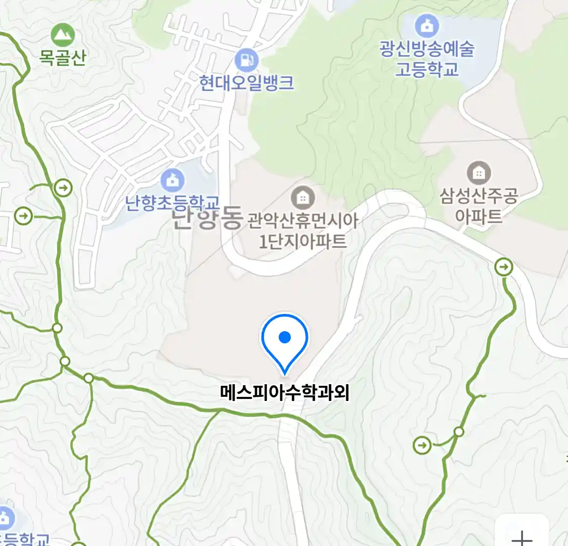 메스피아수학과외