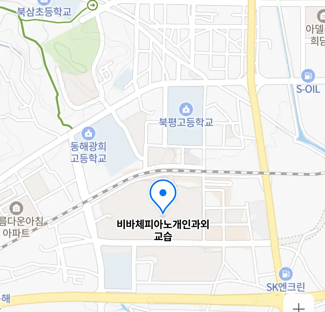 비바체피아노개인과외교습