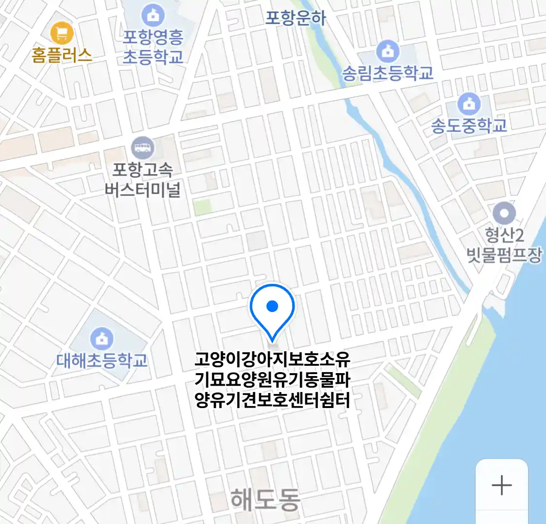 고양이강아지보호소유기묘요양원유기동물파양유기견보호센터쉼터