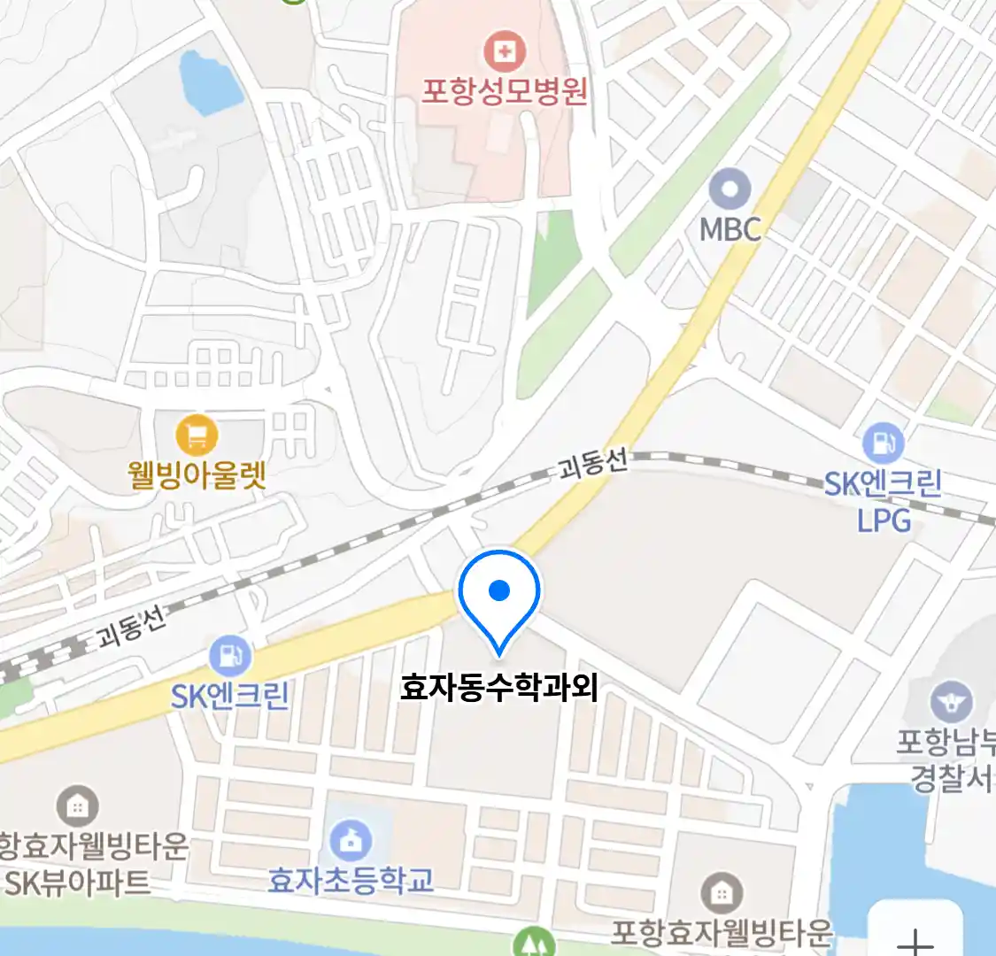 효자동수학과외