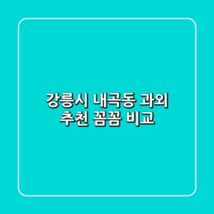 강릉시 내곡동 과외 추천 꼼꼼 비교