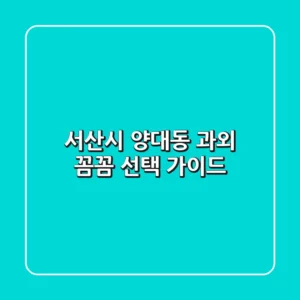 서산시 양대동 과외, 꼼꼼 선택 가이드