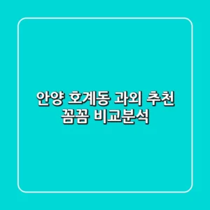 안양 호계동 과외 추천: 꼼꼼 비교분석