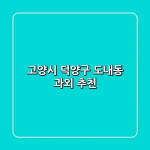 고양시 덕양구 도내동 과외 추천