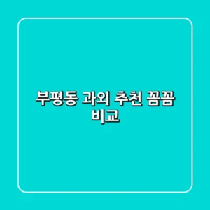 부평동 과외 추천: 꼼꼼 비교!