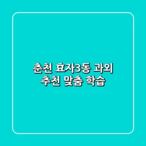 춘천 효자3동 과외 추천: 맞춤 학습