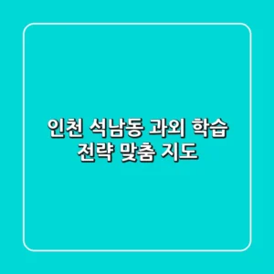 인천 석남동 과외: 학습 전략, 맞춤 지도