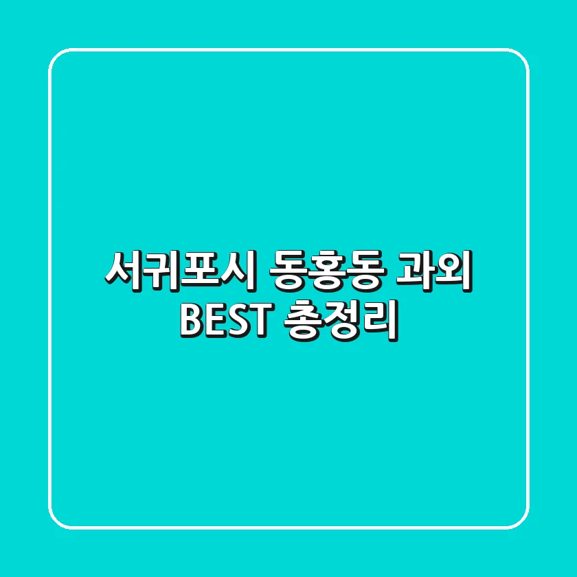 서귀포시 동홍동 과외 BEST 총정리