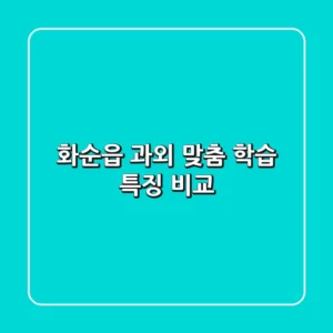 화순읍 과외: 맞춤 학습 특징 비교