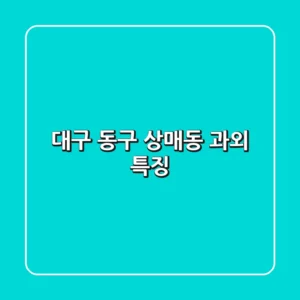 대구 동구 상매동 과외 특징