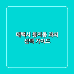 태백시 황지동 과외 선택 가이드