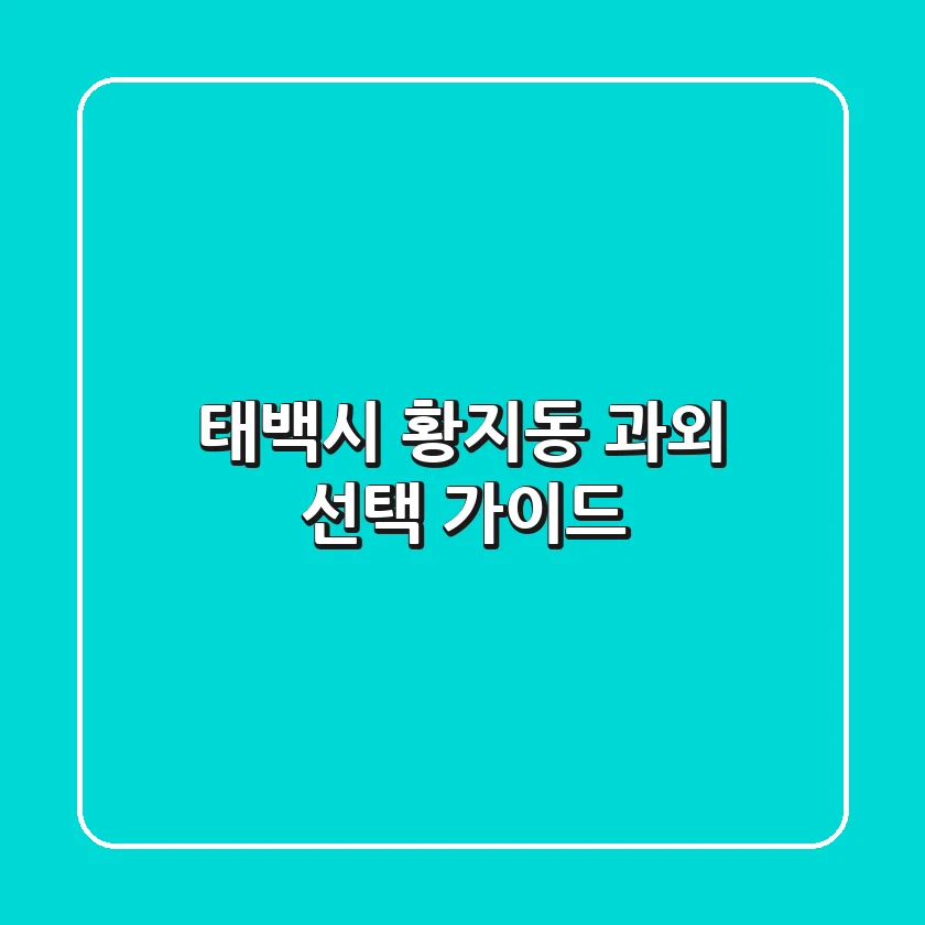 태백시 황지동 과외 선택 가이드