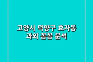 고양시 덕양구 효자동 과외 꼼꼼 분석