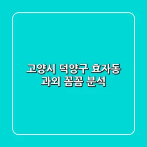 고양시 덕양구 효자동 과외 꼼꼼 분석