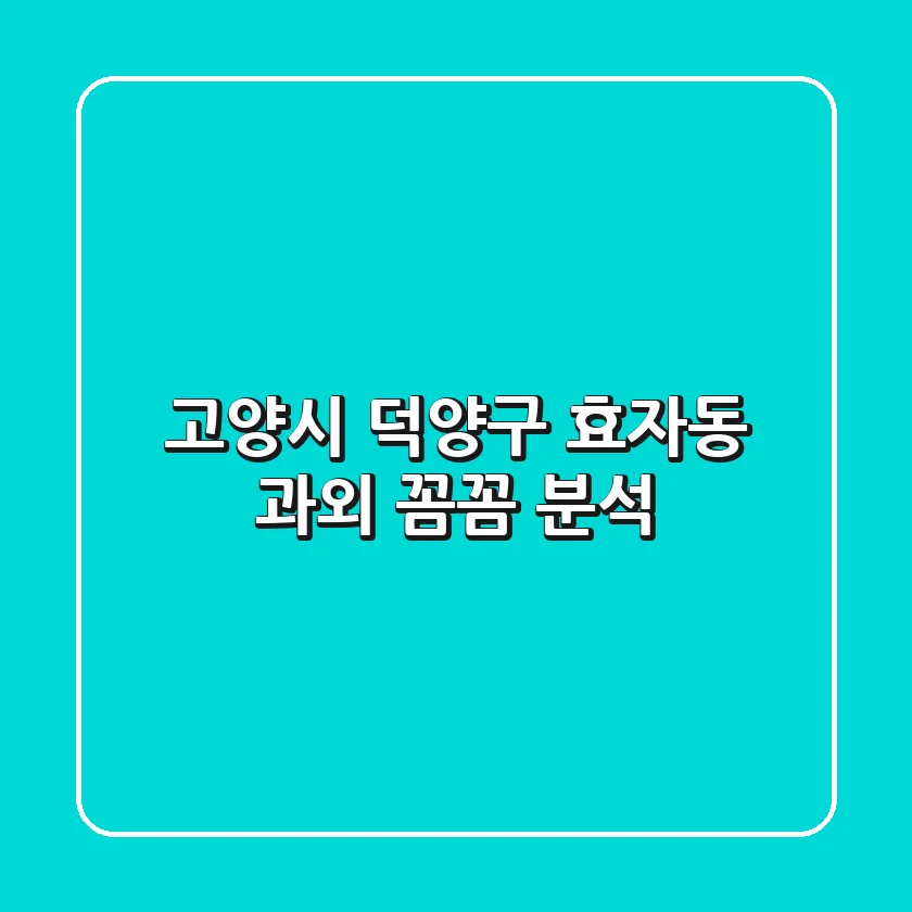 고양시 덕양구 효자동 과외 꼼꼼 분석