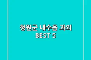 청원군 내수읍 과외 BEST 5