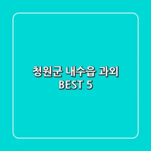 청원군 내수읍 과외 BEST 5