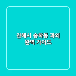 진해시 송학동 과외 완벽 가이드