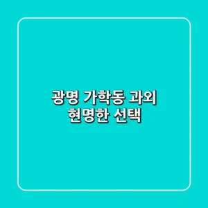 광명 가학동 과외 현명한 선택