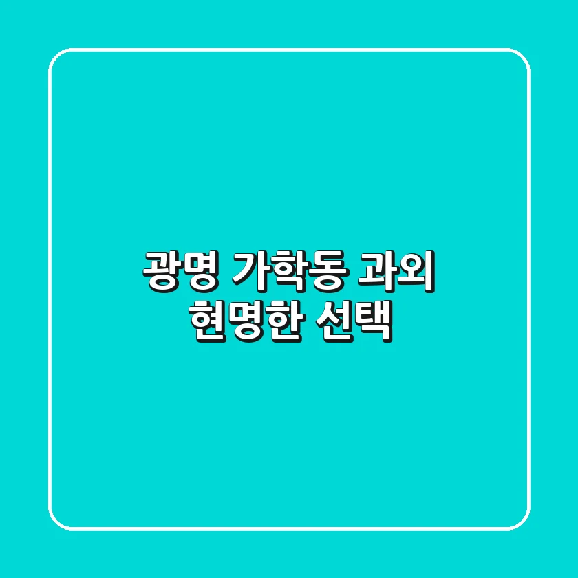 광명 가학동 과외 현명한 선택