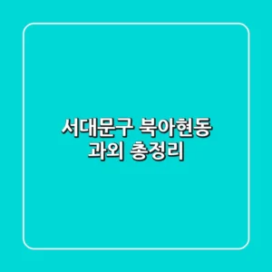 서대문구 북아현동 과외 총정리