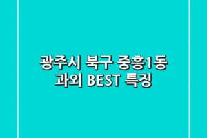 광주시 북구 중흥1동 과외 BEST 특징