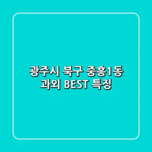 광주시 북구 중흥1동 과외 BEST 특징
