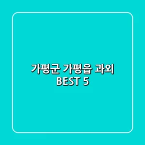 가평군 가평읍 과외 BEST 5