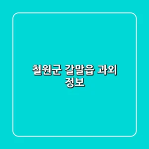 철원군 갈말읍 과외 정보