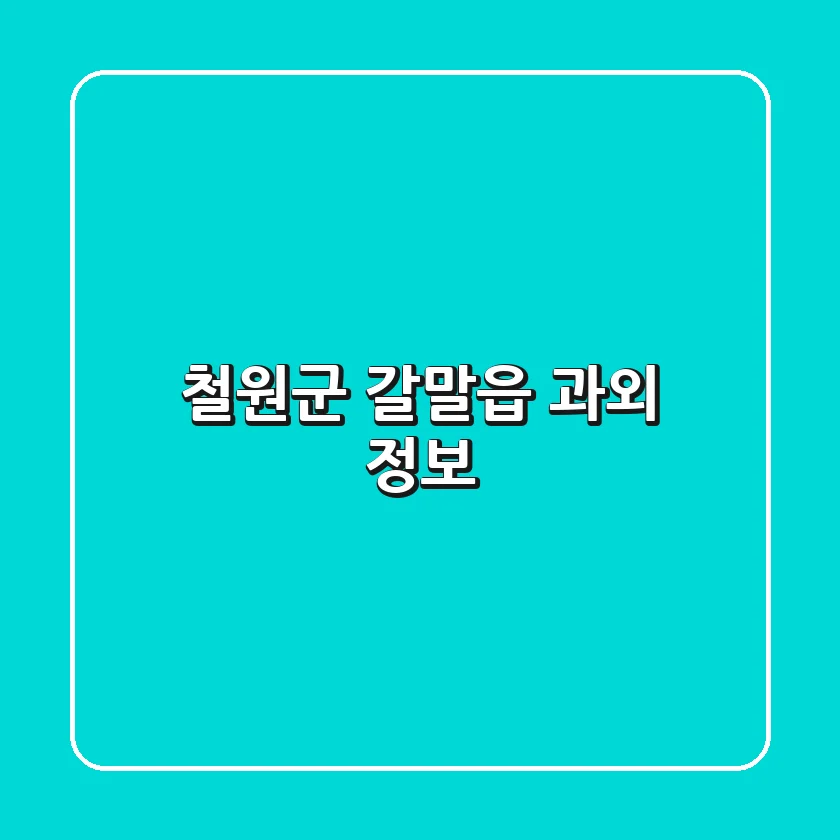 철원군 갈말읍 과외 정보