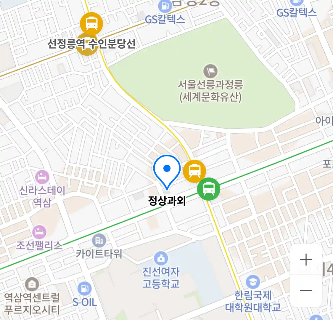 정상과외