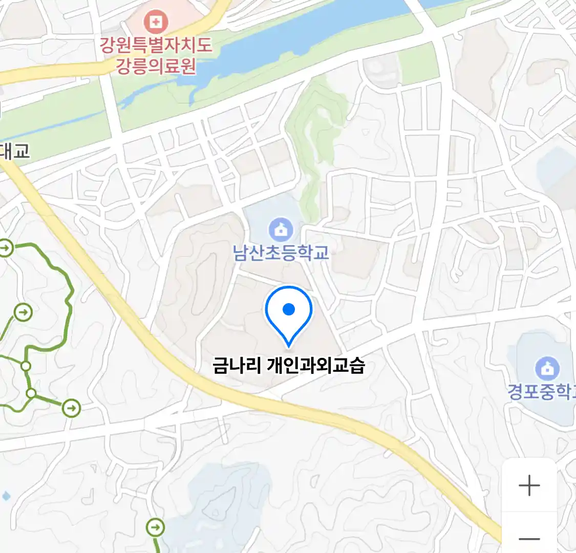 금나리 개인과외교습