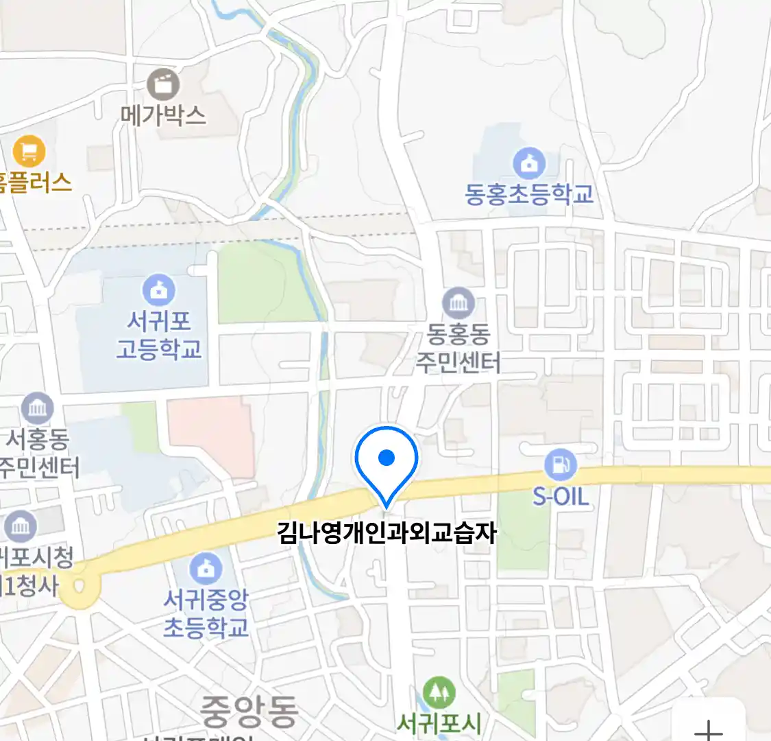 김나영개인과외교습자