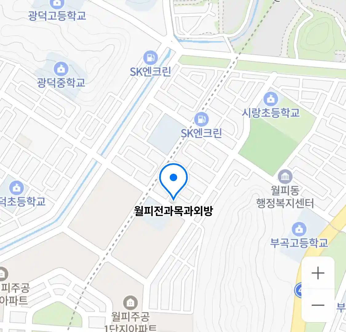 월피전과목과외방