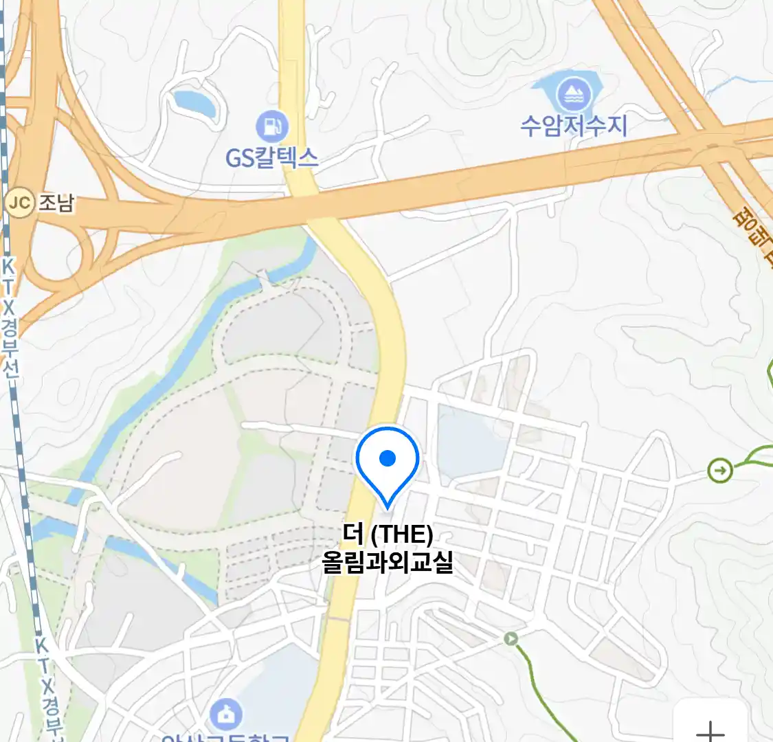 더 (THE) 올림과외교실