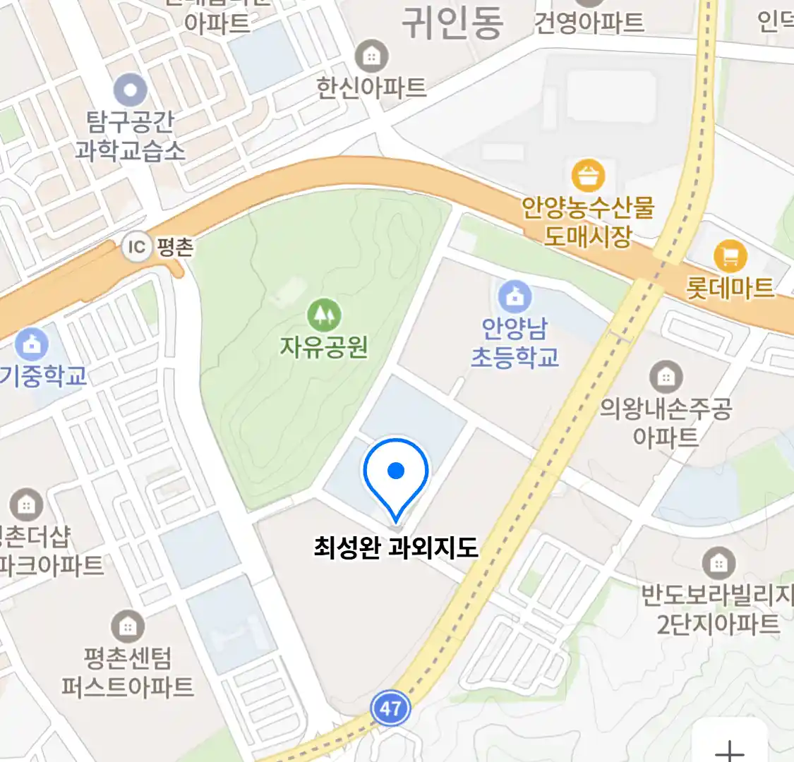 최성완 과외지도