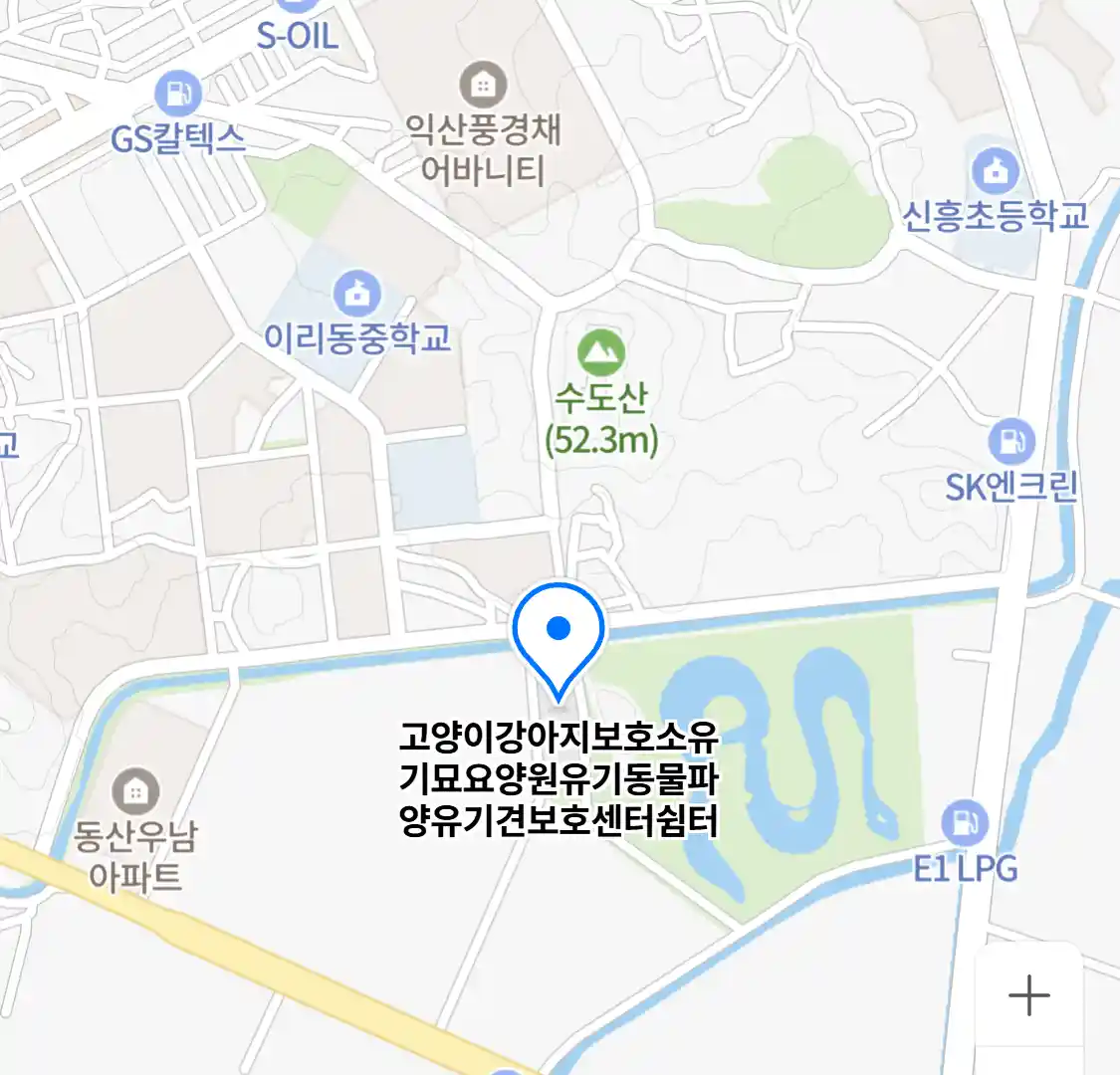 고양이강아지보호소유기묘요양원유기동물파양유기견보호센터쉼터
