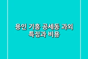 용인 기흥 공세동 과외: 특징과 비용