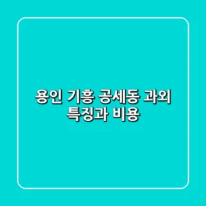 용인 기흥 공세동 과외: 특징과 비용