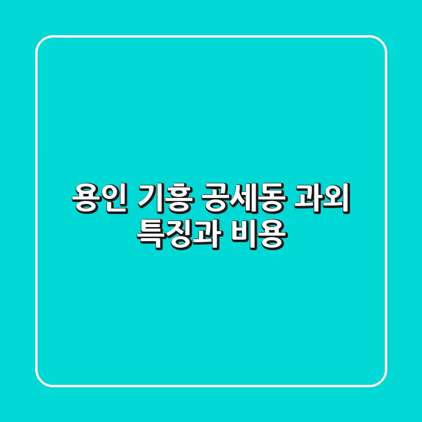 용인 기흥 공세동 과외: 특징과 비용