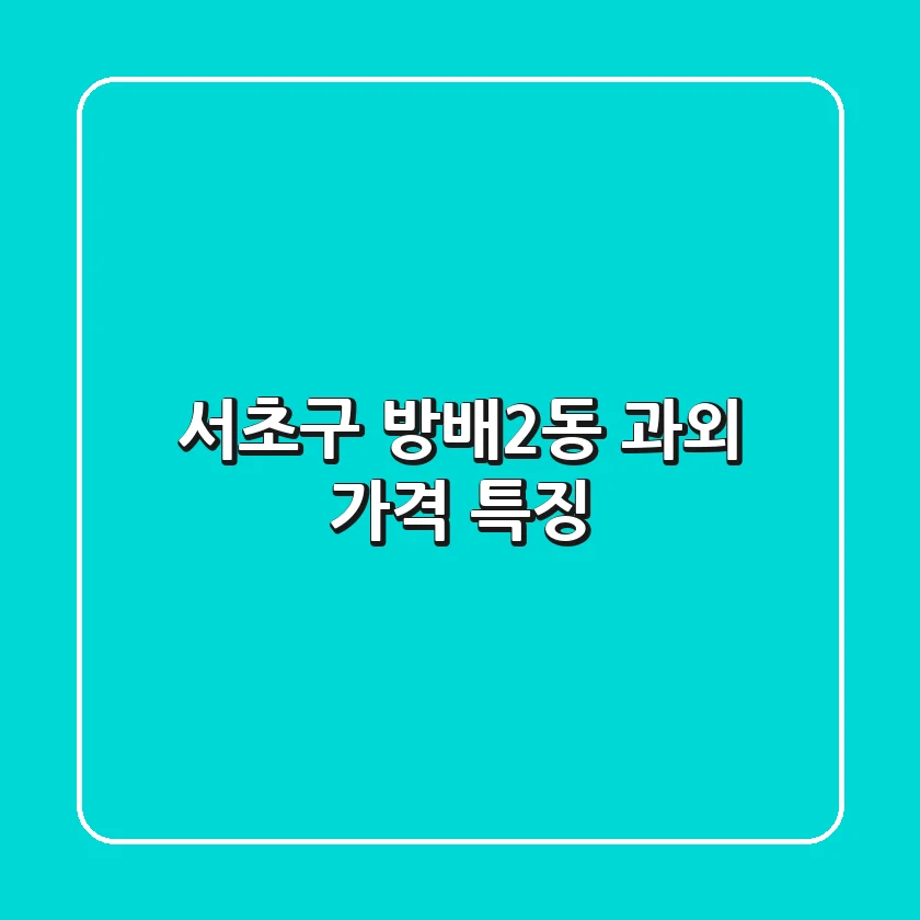 서초구 방배2동 과외: 가격, 특징