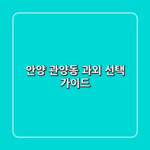 안양 관양동 과외 선택 가이드