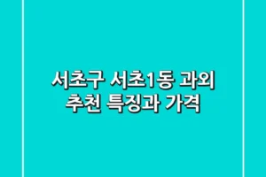 서초구 서초1동 과외 추천: 특징과 가격
