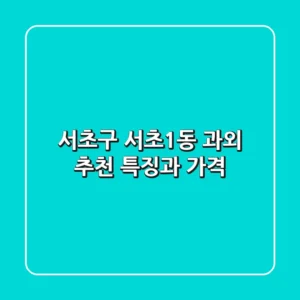 서초구 서초1동 과외 추천: 특징과 가격