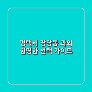 평택시 장당동 과외, 현명한 선택 가이드