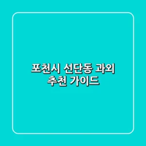 포천시 선단동 과외 추천 가이드
